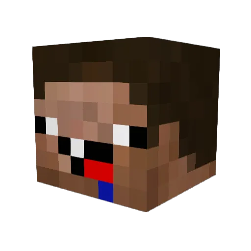 Michi4434 Minecraft avatar head, 3D render
