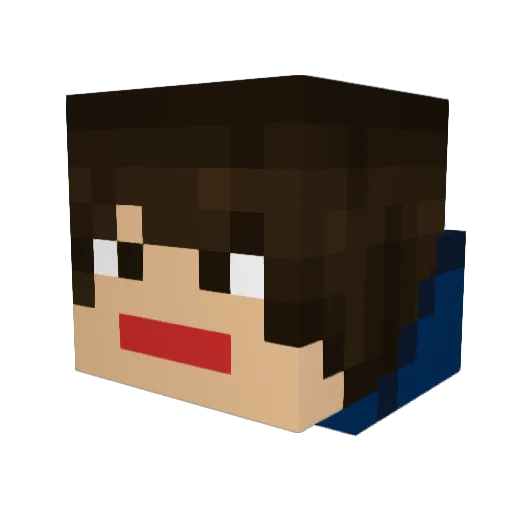 Michi9122 Minecraft avatar head, 3D render