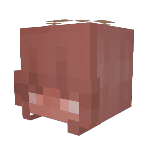 MichiH97 Minecraft avatar head, 3D render