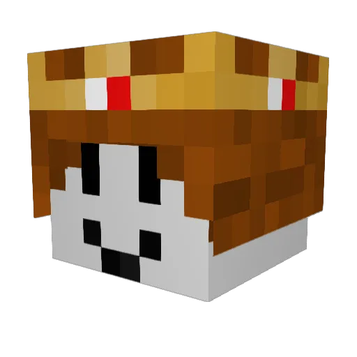MichiMaster7 Minecraft avatar head, 3D render