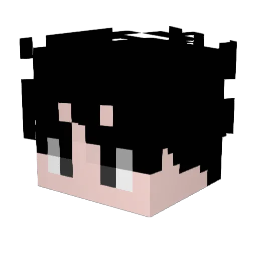 Michi_011 Minecraft avatar head, 3D render