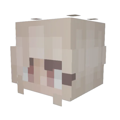 Michi_xx Minecraft avatar head, 3D render