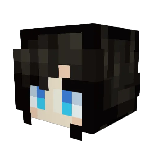 Michichi24 Minecraft avatar head, 3D render