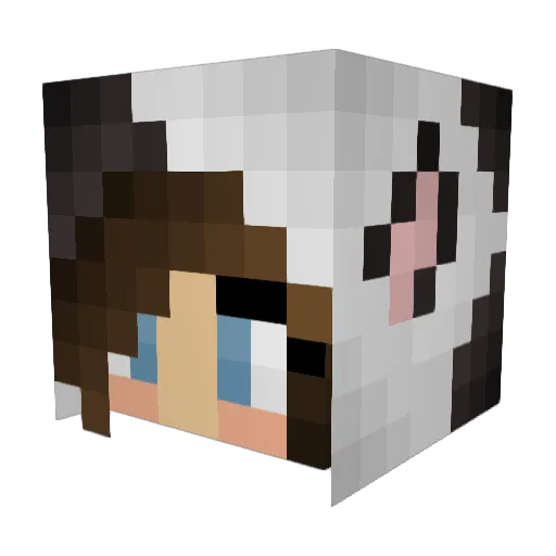 Michieisdead Minecraft avatar head, 3D render