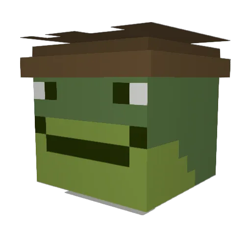 Michiel11 Minecraft avatar head, 3D render