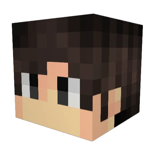Michiel_S Minecraft avatar head, 3D render