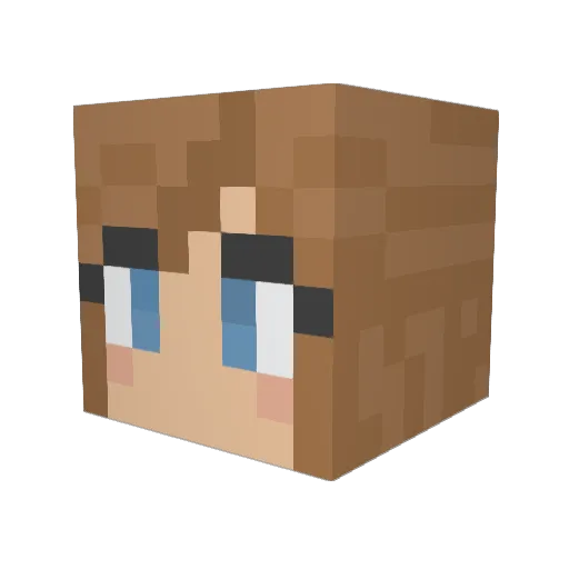 Michifishy Minecraft avatar head, 3D render