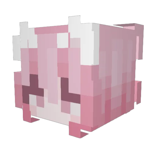 Michiflare Minecraft avatar head, 3D render