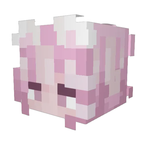 Michimouto Minecraft avatar head, 3D render