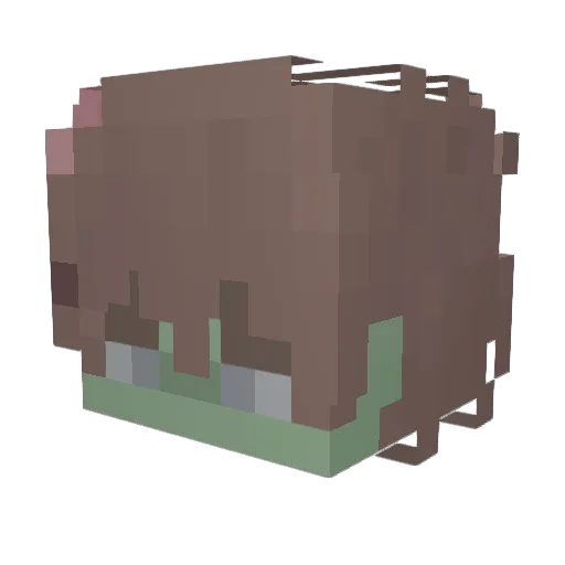 Michiparado Minecraft avatar head, 3D render