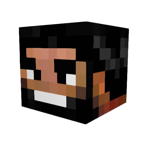 Mickaelp16 Minecraft avatar head, 3D render