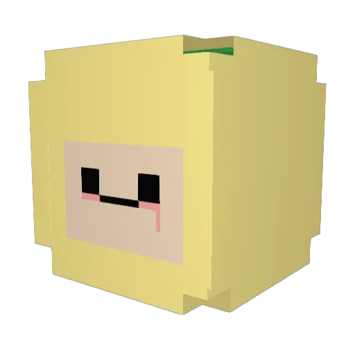 Mickey0_0 Minecraft avatar head, 3D render