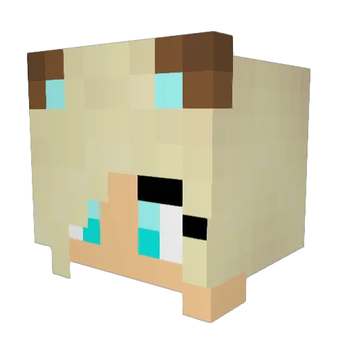 Mickey1234567 Minecraft avatar head, 3D render