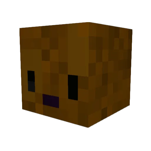 Mickey2006 Minecraft avatar head, 3D render