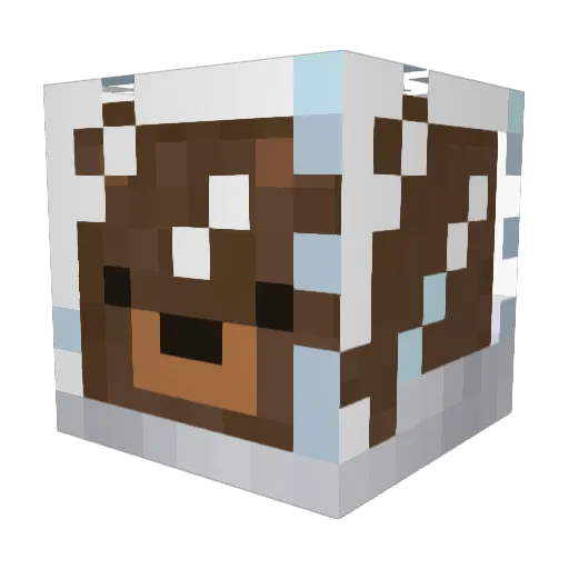 Mickey3180 Minecraft avatar head, 3D render