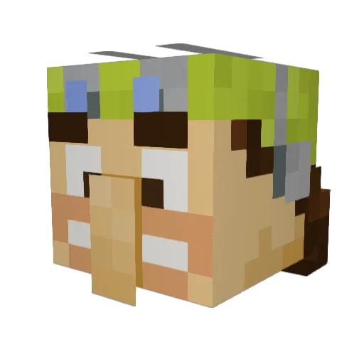 MickeyDeluxe23 Minecraft avatar head, 3D render