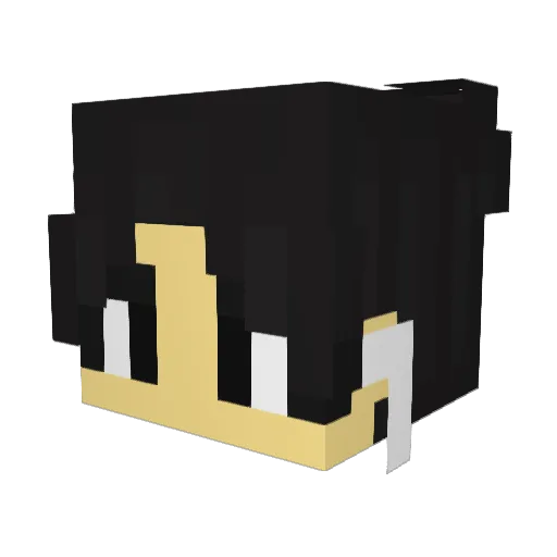 MickeyIanGamer_ Minecraft avatar head, 3D render