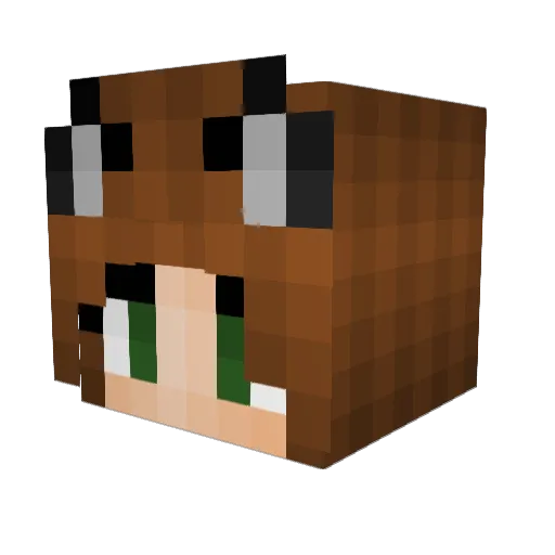 MickeyMouse2002 Minecraft avatar head, 3D render