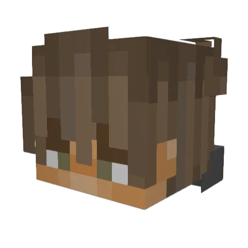 Micky401 Minecraft avatar head, 3D render