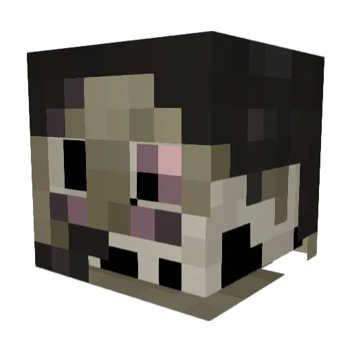 Micky5991 Minecraft avatar head, 3D render
