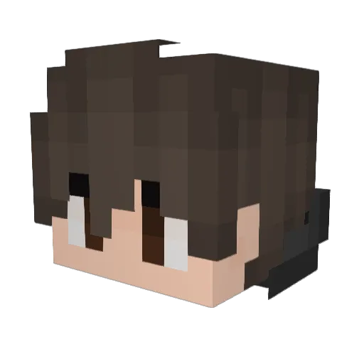 MickyMicky1115 Minecraft avatar head, 3D render