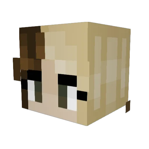 Mickylou Minecraft avatar head, 3D render