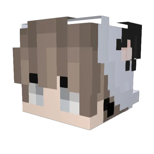Miconi0 Minecraft avatar head, 3D render