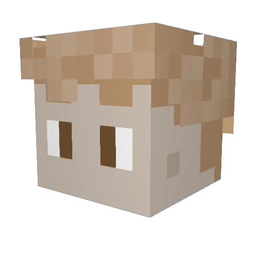 MicroChip1 Minecraft avatar head, 3D render