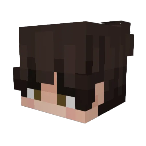Micro_HC Minecraft avatar head, 3D render