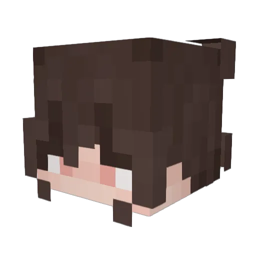 MicroplasticCNSM Minecraft avatar head, 3D render