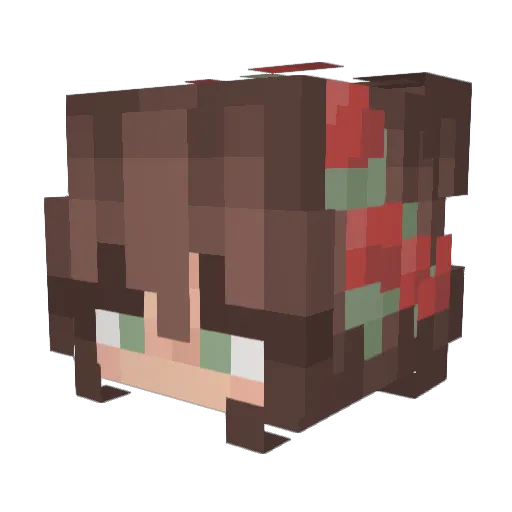 Microsoft_Main Minecraft avatar head, 3D render