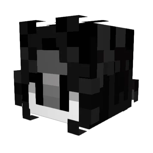 MicrowavePugs Minecraft avatar head, 3D render