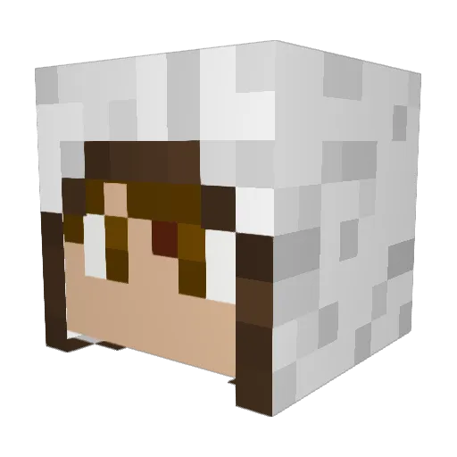 Microwave_M8ey Minecraft avatar head, 3D render
