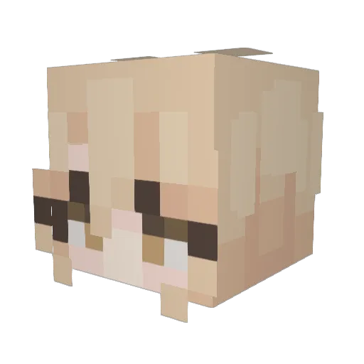 Microwave_able Minecraft avatar head, 3D render