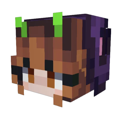 Mictia00 Minecraft avatar head, 3D render