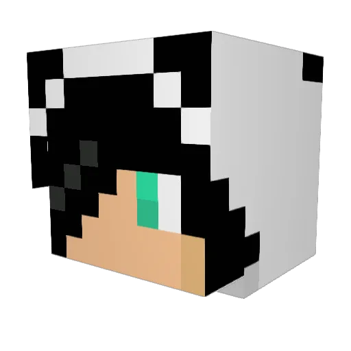 MidNightGamer225 Minecraft avatar head, 3D render