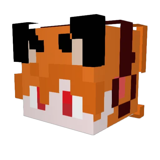 MidNightKitsun Minecraft avatar head, 3D render
