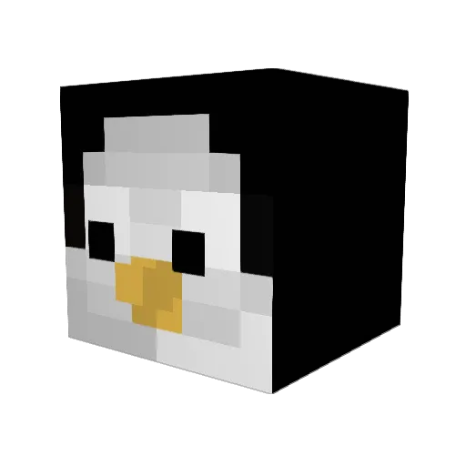 MidNightSpace Minecraft avatar head, 3D render