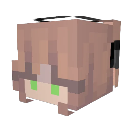 MidNightSun18 Minecraft avatar head, 3D render