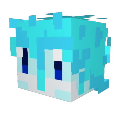MidNight_0967 Minecraft avatar head, 3D render