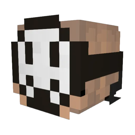 MidNiteNinja Minecraft avatar head, 3D render