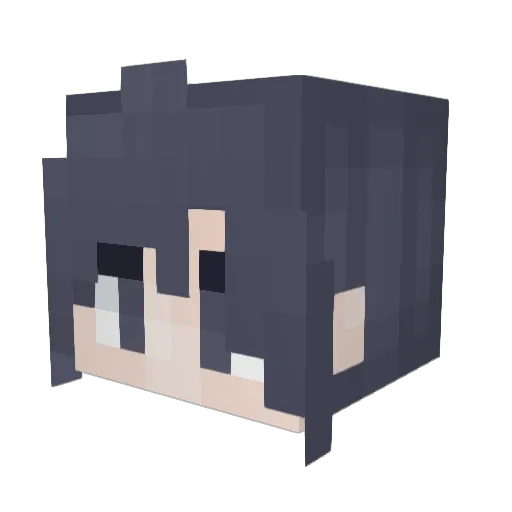 Midge55 Minecraft avatar head, 3D render