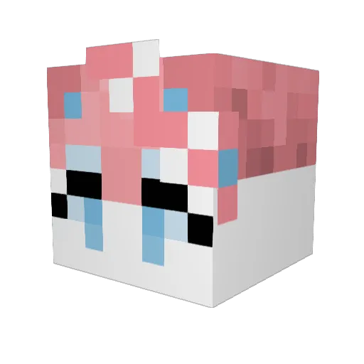 MidgitMan08 Minecraft avatar head, 3D render