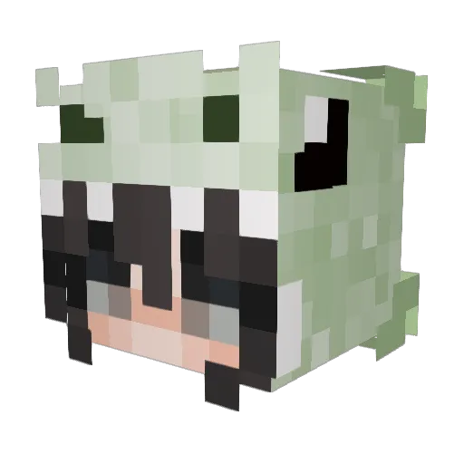 MidlifeMars3751 Minecraft avatar head, 3D render