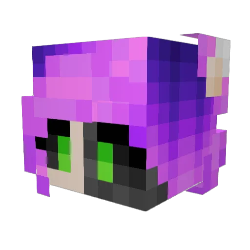 MidnaFox23 Minecraft avatar head, 3D render