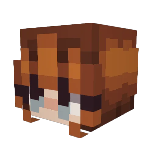 MidnaviSun Minecraft avatar head, 3D render