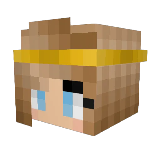 Midnight1316 Minecraft avatar head, 3D render
