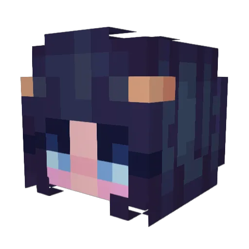 Midnight1799 Minecraft avatar head, 3D render