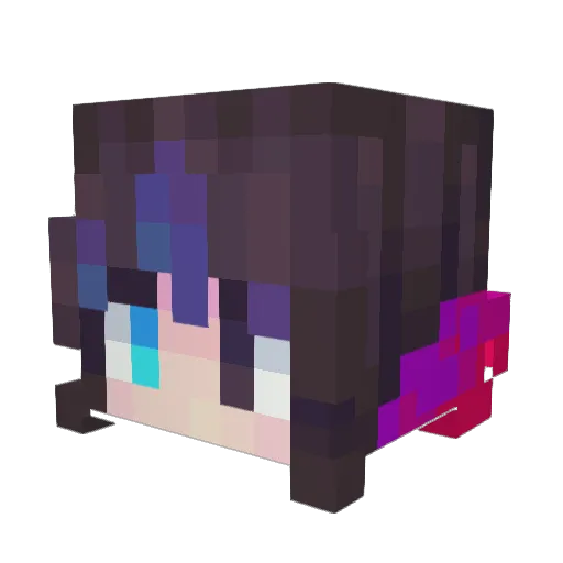 Midnight6464 Minecraft avatar head, 3D render