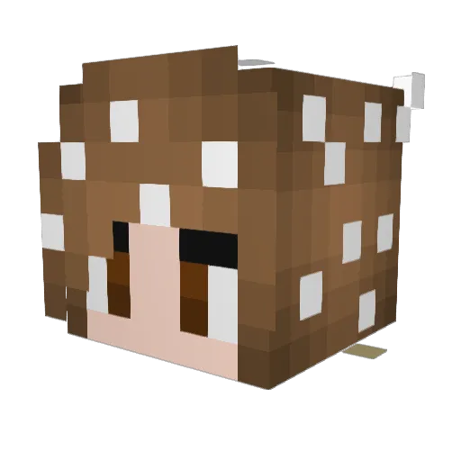 MidnightAurora14 Minecraft avatar head, 3D render